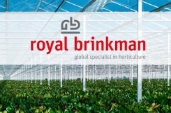 Presentación del nuevo logotipo de Royal Brinkman